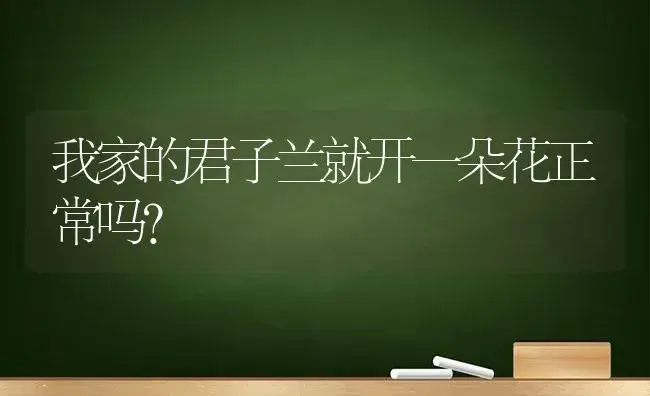 我家的君子兰就开一朵花正常吗？ | 绿植常识