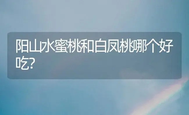 阳山水蜜桃和白凤桃哪个好吃？ | 多肉养殖