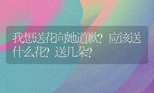 我想送花向她道歉？应该送什么花？送几朵？ | 绿植常识