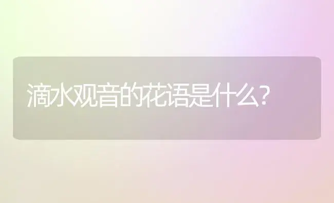 滴水观音的花语是什么？ | 多肉养殖