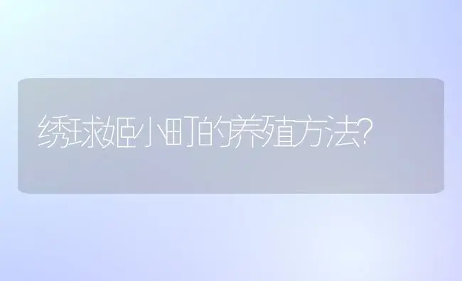 绣球姬小町的养殖方法？ | 绿植常识