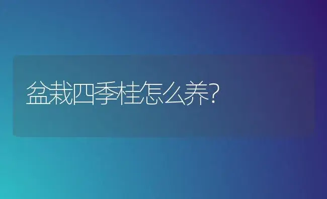 盆栽四季桂怎么养？ | 家庭养花