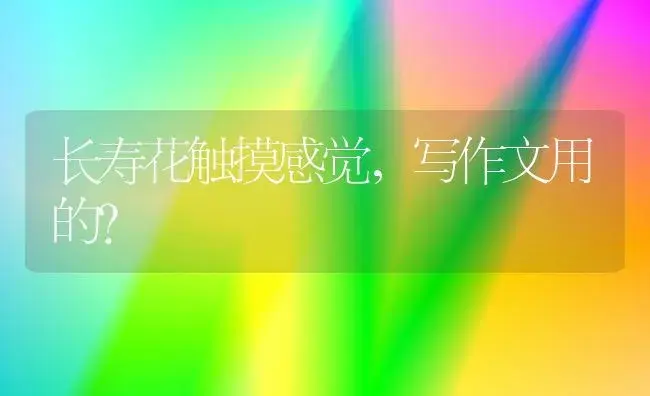 长寿花触摸感觉,写作文用的？ | 多肉养殖