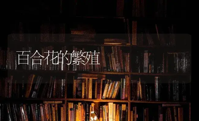 刺槐新品类的介绍 | 特种种植