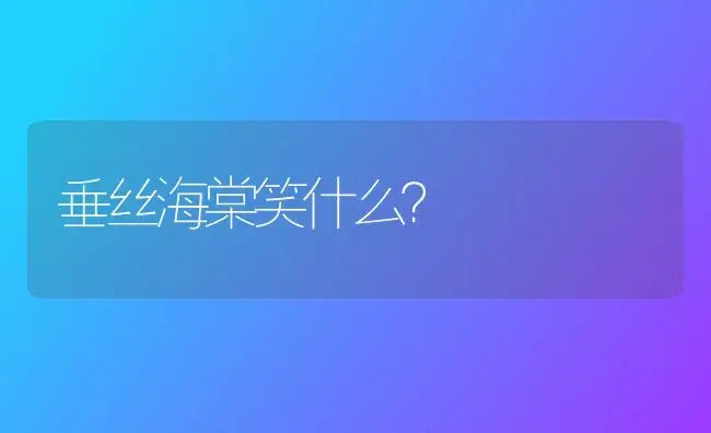 垂丝海棠笑什么？ | 绿植常识