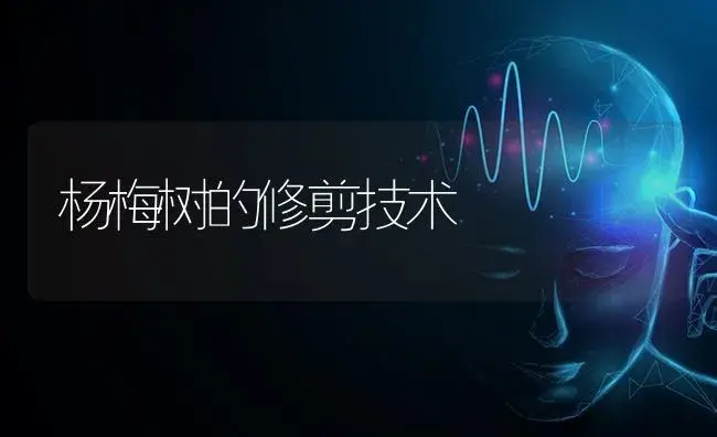 杨梅树的修剪技术 | 果木种植