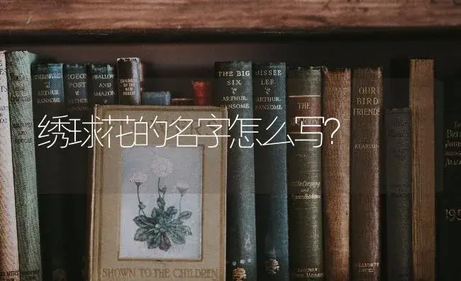 绣球花的名字怎么写？ | 绿植常识