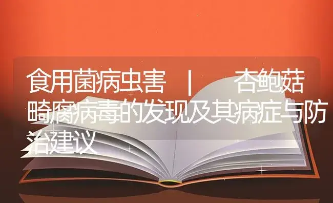 杏鲍菇畸腐病毒的发现及其病症与防治建议 | 菌菇种植