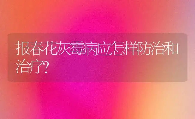 报春花灰霉病应怎样防治和治疗? | 家庭养花