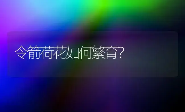 令箭荷花如何繁育？ | 家庭养花