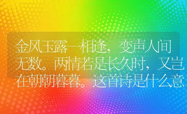 金风玉露一相逢,变声人间无数。两情若是长久时,又岂在朝朝暮暮。这首诗是什么意思？ | 多肉养殖