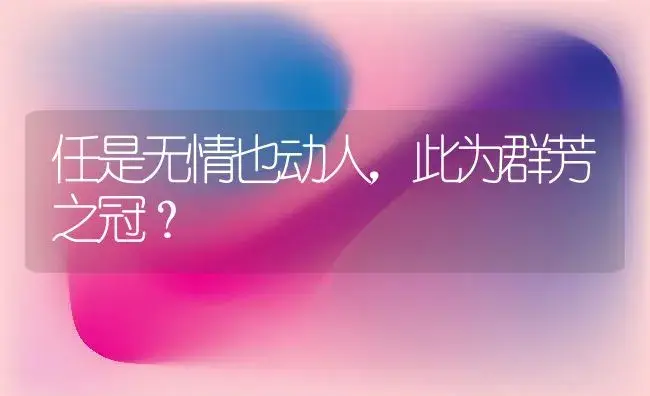 任是无情也动人，此为群芳之冠？ | 绿植常识