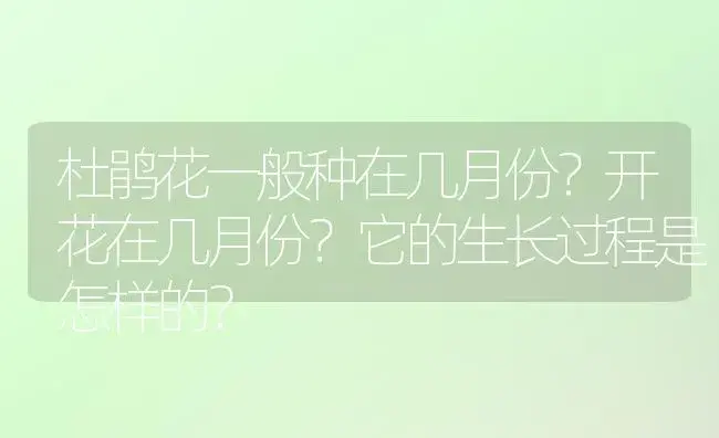 杜鹃花一般种在几月份？开花在几月份？它的生长过程是怎样的？ | 绿植常识