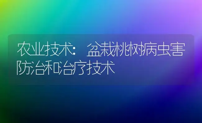 农业技术:盆栽桃树病虫害防治和治疗技术 | 家庭养花