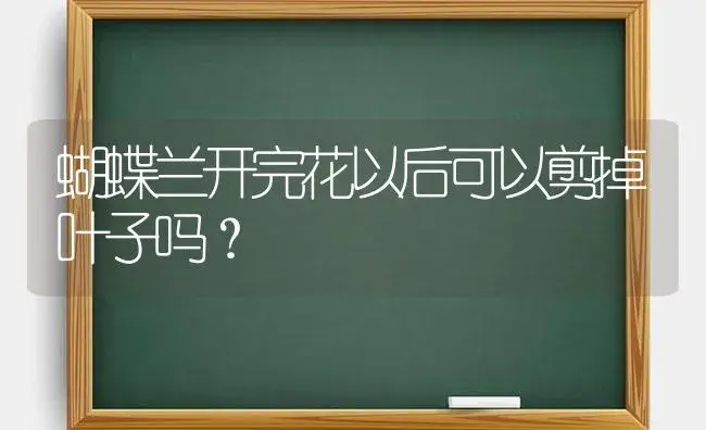 蝴蝶兰开完花以后可以剪掉叶子吗？ | 绿植常识