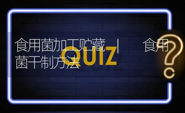 食用菌干制方法 | 菌菇种植