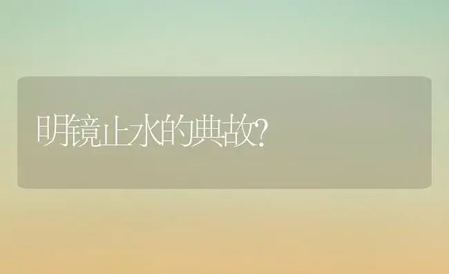 明镜止水的典故？ | 多肉养殖