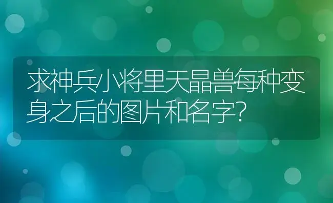 求神兵小将里天晶兽每种变身之后的图片和名字？ | 多肉养殖