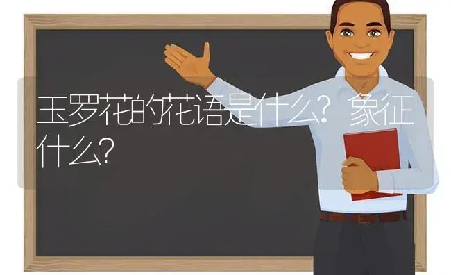 玉罗花的花语是什么?象征什么？ | 绿植常识