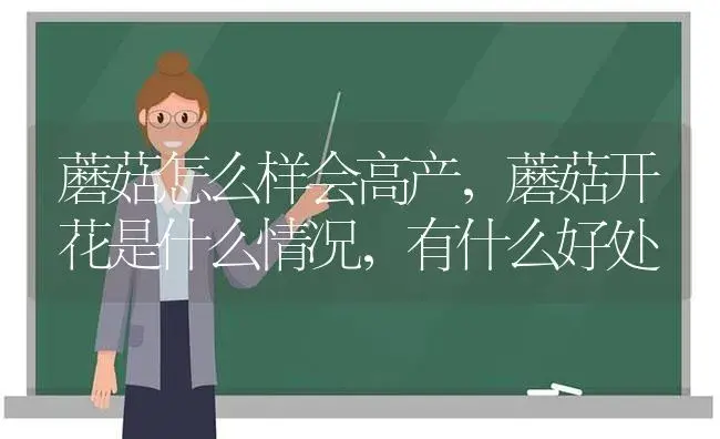 蘑菇怎么样会高产，蘑菇开花是什么情况，有什么好处 | 菌菇种植