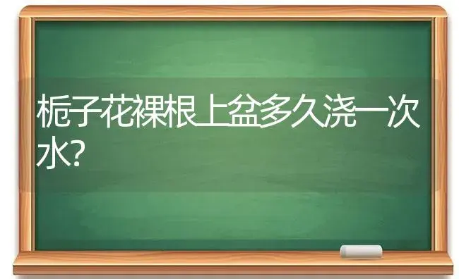 栀子花裸根上盆多久浇一次水？ | 绿植常识