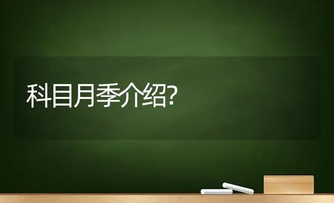 科目月季介绍？ | 绿植常识