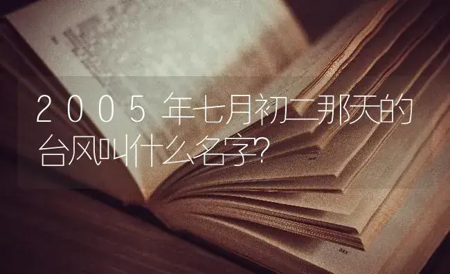 2005年七月初二那天的台风叫什么名字？ | 绿植常识