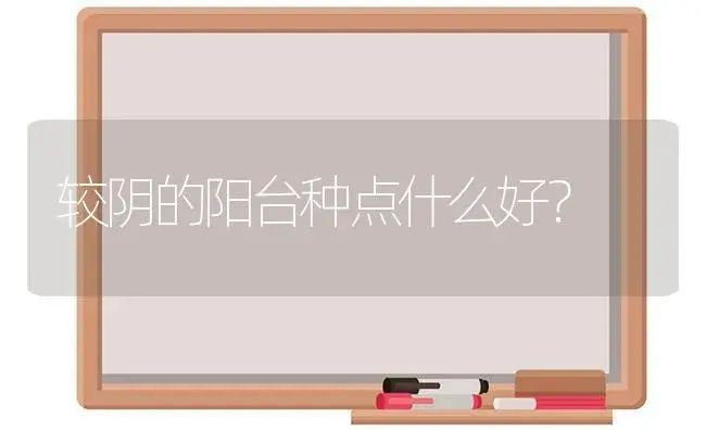 较阴的阳台种点什么好？ | 多肉养殖