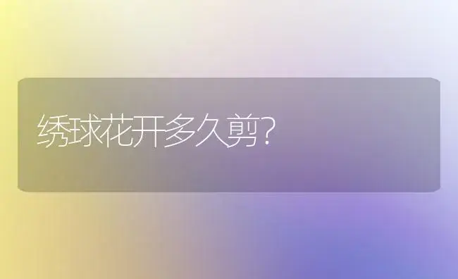 绣球花开多久剪？ | 绿植常识