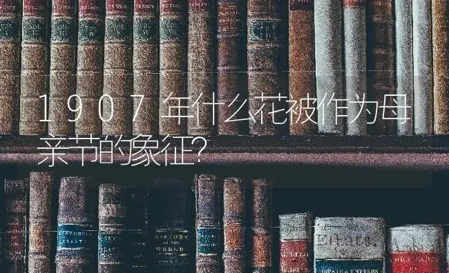 1907年什么花被作为母亲节的象征？ | 绿植常识