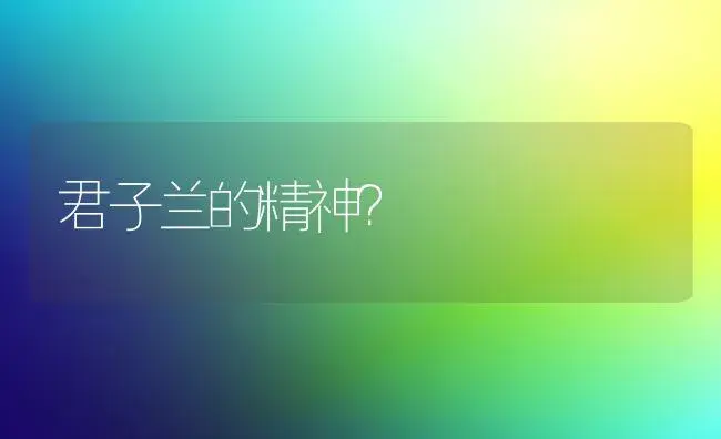 君子兰的精神？ | 绿植常识