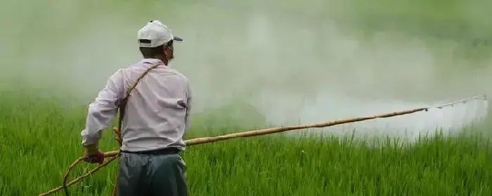 二甲灭草松除草剂使用范围