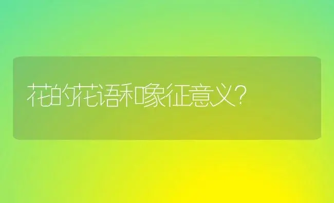 花的花语和象征意义？ | 绿植常识