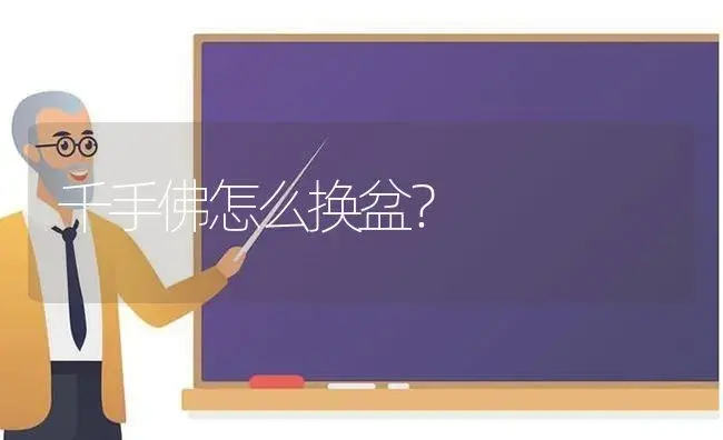 千手佛怎么换盆？ | 多肉养殖