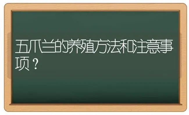 五爪兰的养殖方法和注意事项？ | 多肉养殖