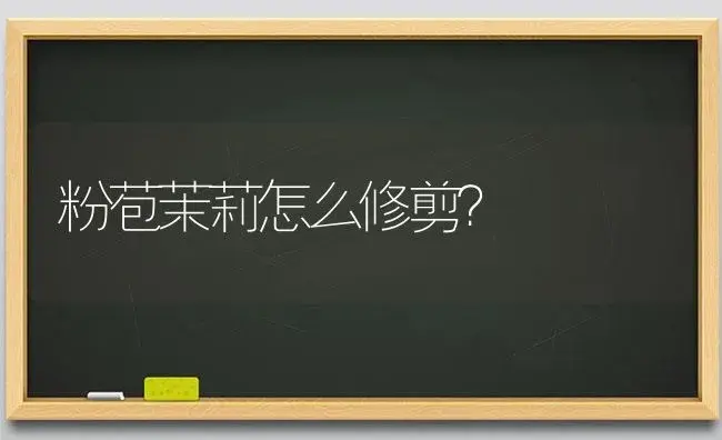 粉苞茉莉怎么修剪？ | 绿植常识