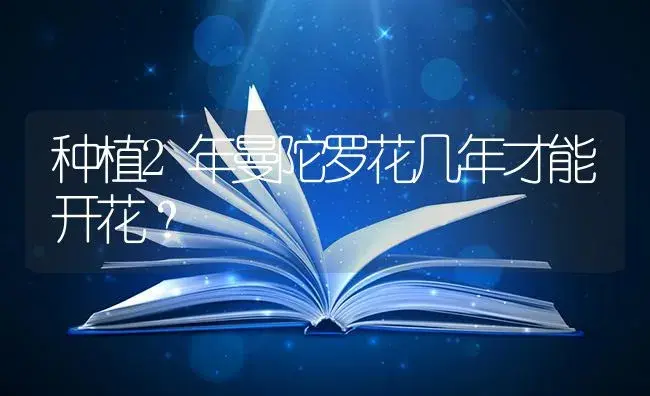 种植2年曼陀罗花几年才能开花？ | 绿植常识