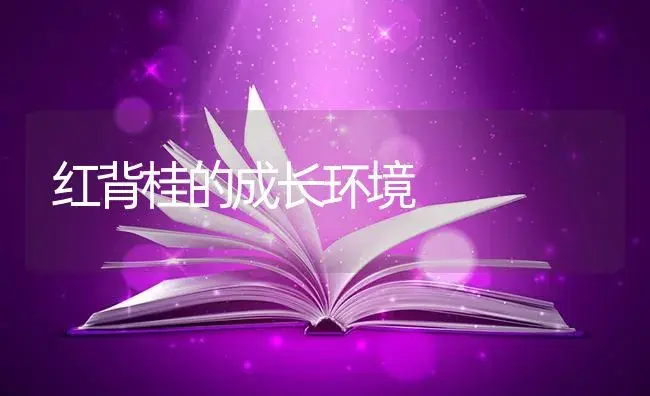 红背桂的成长环境 | 特种种植