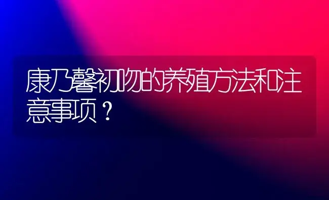 康乃馨初吻的养殖方法和注意事项？ | 绿植常识