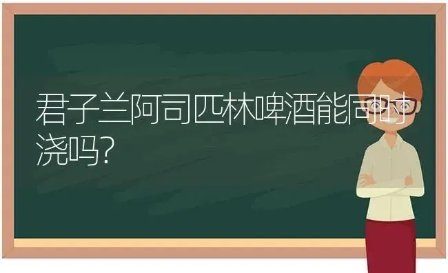 君子兰阿司匹林啤酒能同时浇吗？ | 绿植常识