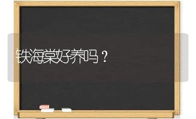 铁海棠好养吗？ | 绿植常识