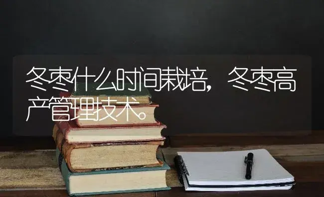 冬枣什么时间栽培，冬枣高产管理技术。 | 果木种植