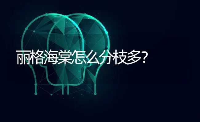 丽格海棠怎么分枝多？ | 绿植常识