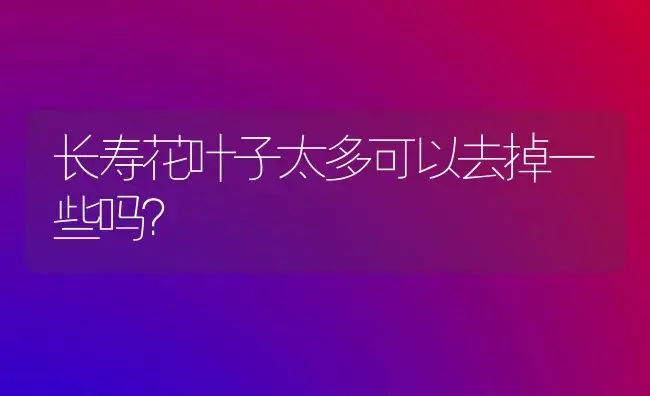 长寿花叶子太多可以去掉一些吗？ | 多肉养殖