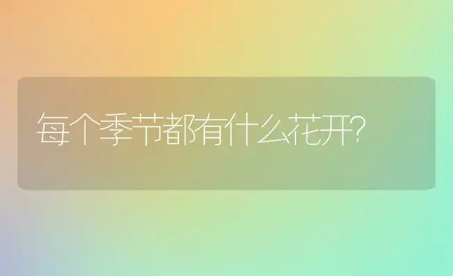 每个季节都有什么花开？ | 绿植常识