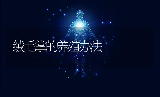 绒毛掌的养殖办法 | 特种种植