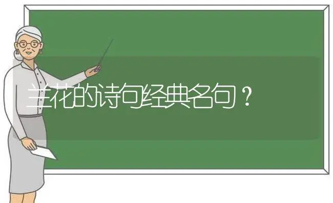 兰花的诗句经典名句？ | 绿植常识