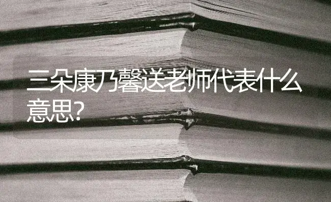 三朵康乃馨送老师代表什么意思？ | 绿植常识