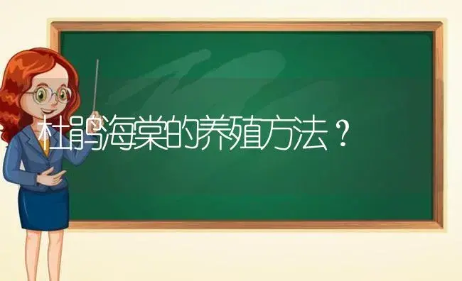 杜鹃海棠的养殖方法？ | 绿植常识