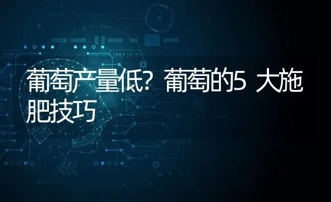 葡萄产量低？葡萄的5大施肥技巧 | 果木种植